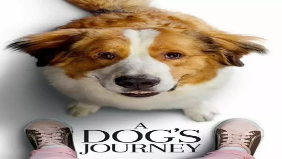 فيلم A Dog’s Journey 2019 مترجم