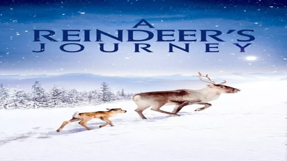 فيلم A Reindeer’s Journey 2018 مترجم