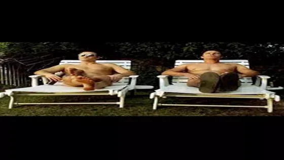 فيلم All Cock and No Bull! 2019 مترجم