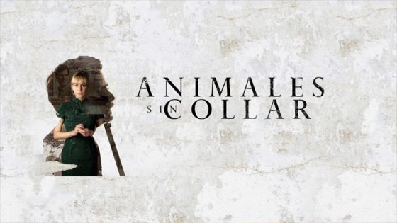 فيلم Animales sin collar 2018 مترجم