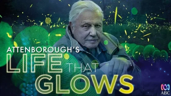 فيلم Attenborough’s Life That Glows 2016 مترجم