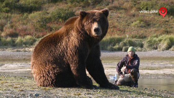 فيلم Bear Like 2019 مترجم