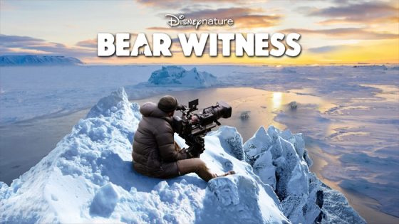 فيلم Bear witness 2022 مترجم