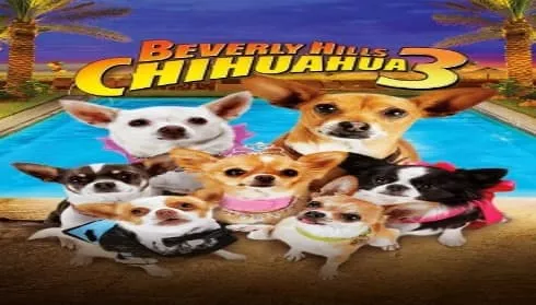 فيلم Beverly Hills Chihuahua 3: Viva la Fiesta! 2012 مترجم