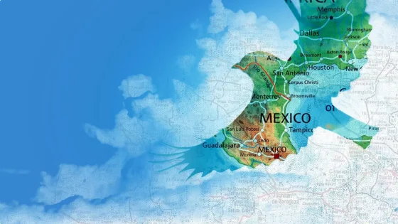 فيلم Birders 2019 مترجم