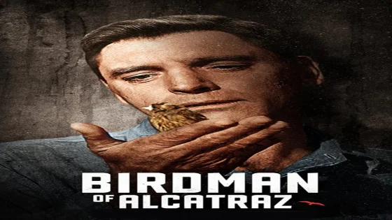 فيلم Birdman of Alcatraz 1962 مترجم