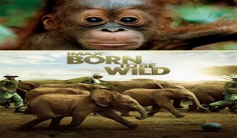 فيلم Born to Be Wild 2011 مترجم