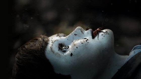 فيلم Brahms The Boy II 2020 مترجم