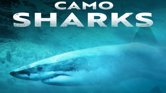 فيلم Camo Sharks 2022 مترجم