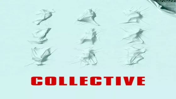 فيلم Collective 2019 مترجم