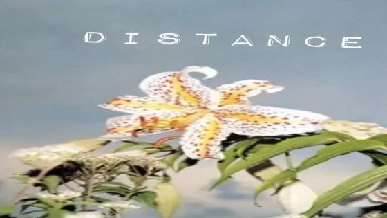فيلم Distance 2001 مترجم