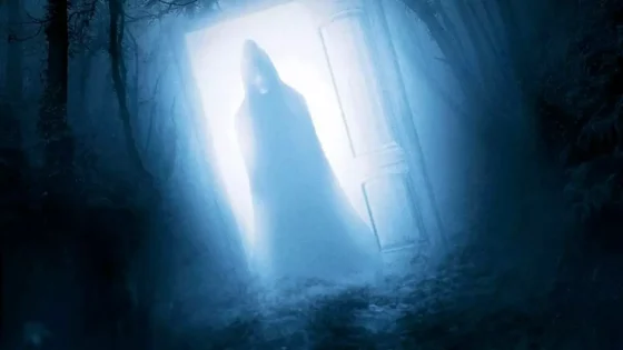 فيلم Door in the Woods 2019 مترجم