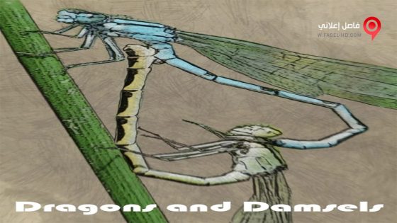 فيلم Dragons and Damsels 2020 مترجم