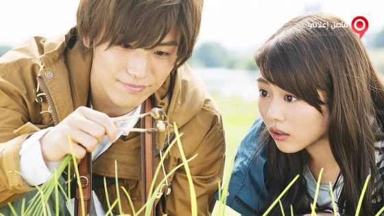 فيلم Evergreen Love 2016 مترجم