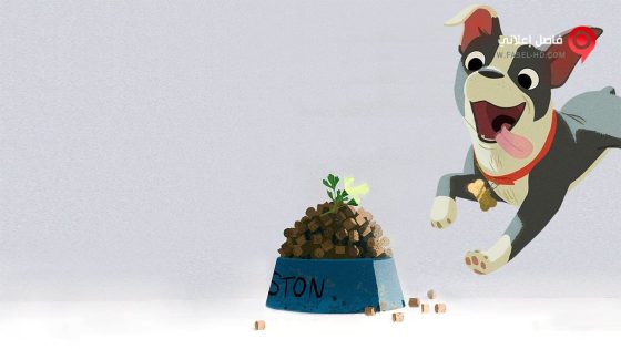 فيلم Feast 2014 مترجم