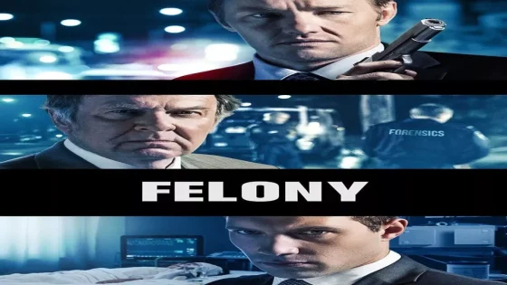 فيلم Felony 2013 مترجم