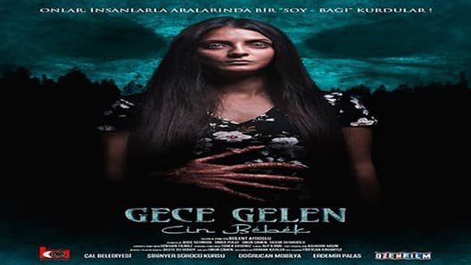 فيلم Gece Gelen: Cin Bebek 2020 مترجم