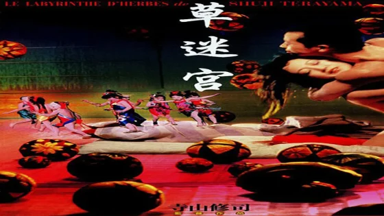 فيلم Grass Labyrinth 1979 مترجم