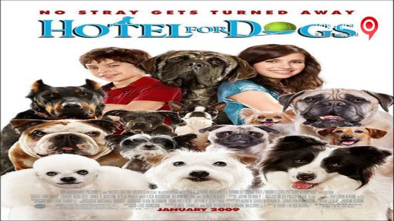 فيلم Hotel for Dogs 2009 مترجم