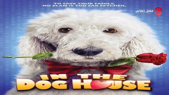 فيلم In the Dog House 2014 مترجم