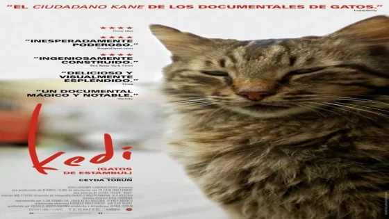 فيلم Kedi 2016 مترجم