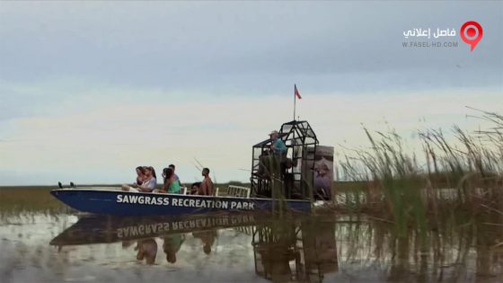 فيلم Lake Fear 2 The Swamp 2016 مترجم