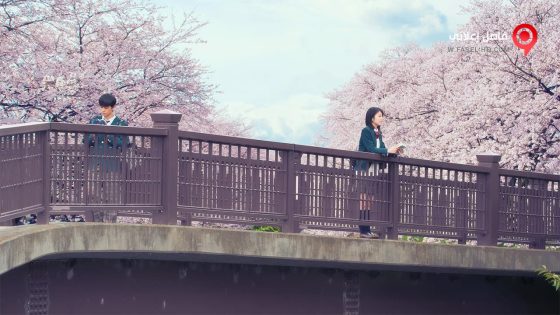 فيلم Let Me Eat Your Pancreas 2017 مترجم