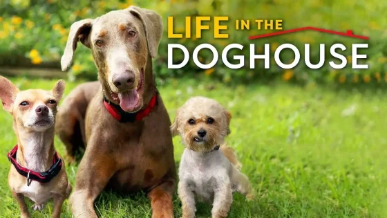 فيلم Life in the Doghouse 2018 مترجم