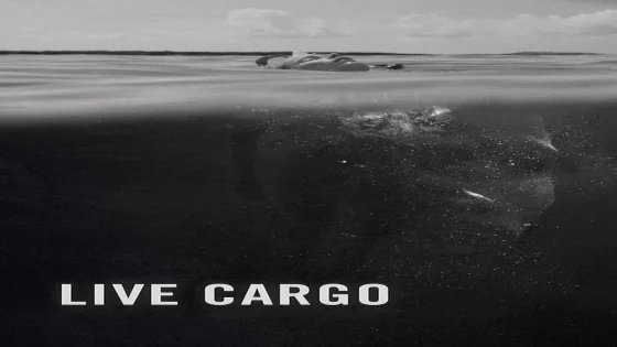 فيلم Live Cargo 2016 مترجم