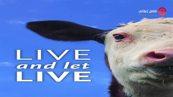 فيلم Live and Let Live 2013 مترجم