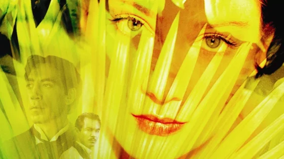 فيلم Love in the Time of Cholera 2007 مترجم