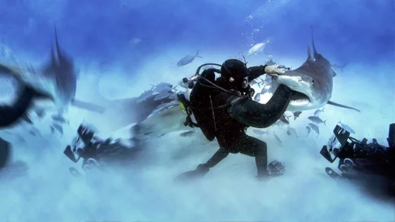 فيلم Man vs. Shark 2019 مترجم