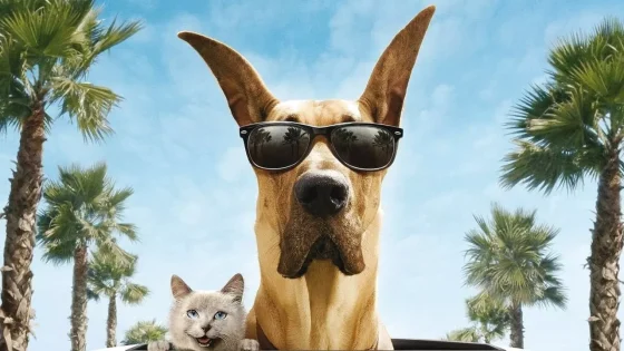 فيلم Marmaduke 2010 مترجم