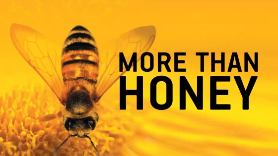 فيلم More Than Honey 2012 مترجم
