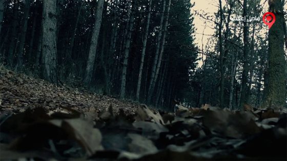 فيلم Moth 2016 مترجم