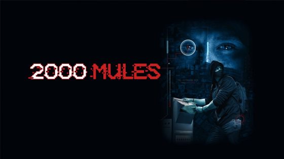 فيلم Mules 2000 2022 مترجم