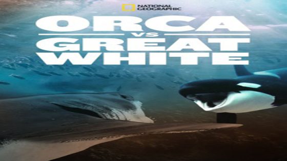 فيلم Orca vs Great White 2021 مترجم