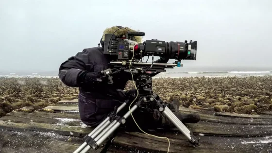 فيلم Our Planet: Behind The Scenes 2019 مترجم