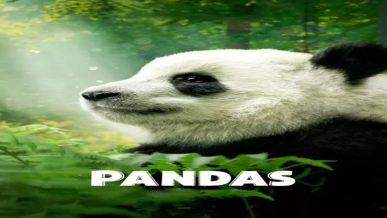 فيلم Pandas 2018 مترجم