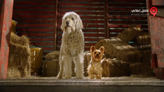 فيلم Pup Star 2016 مترجم