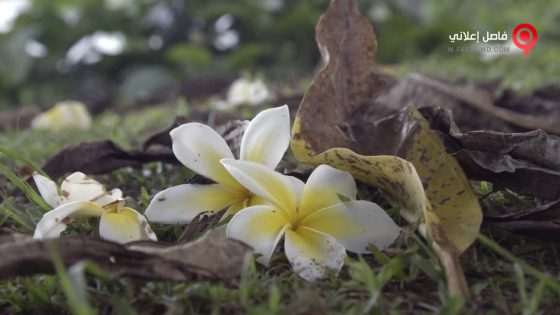 فيلم Ram Dass, Going Home 2017 مترجم