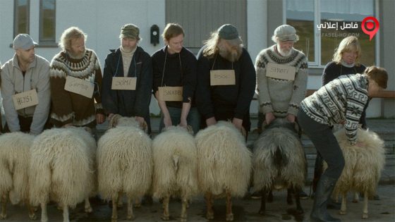 فيلم Rams 2015 مترجم