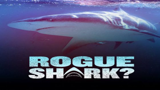 فيلم Rogue Shark 2021 مترجم