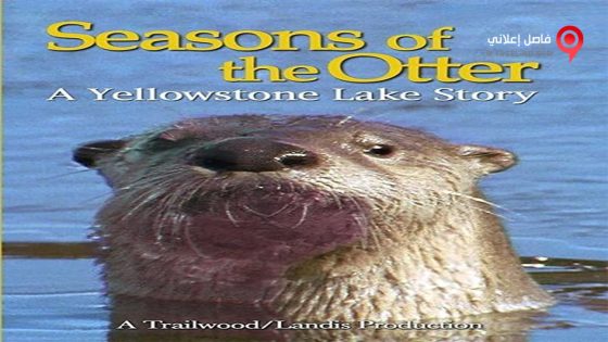 فيلم Seasons of the Otter 2020 مترجم