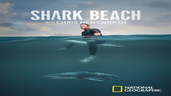 فيلم Shark Beach with Chris Hemsworth 2021 مترجم
