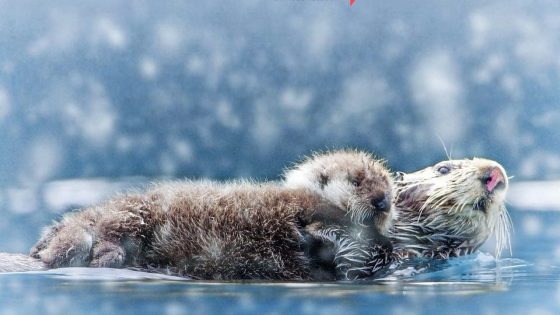 فيلم Spy in the Snow 2018 مترجم