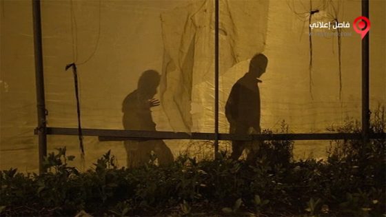 فيلم Strawberry 2016 مترجم