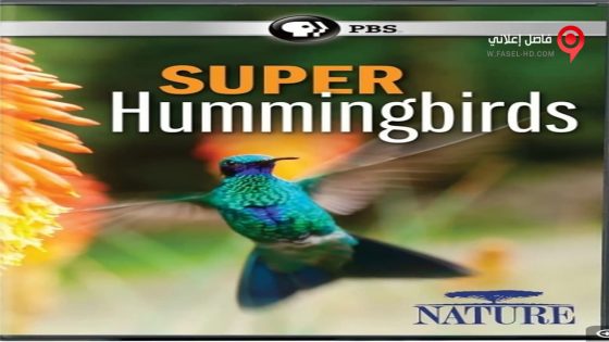 فيلم Super Hummingbirds 2016 مترجم