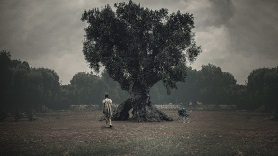 فيلم The Binding 2020 مترجم