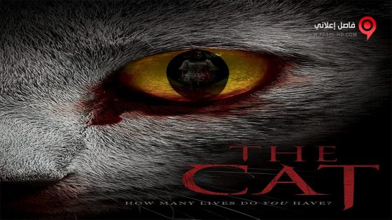 فيلم The Cat 2011 مترجم